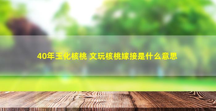 40年玉化核桃 文玩核桃嫁接是什么意思